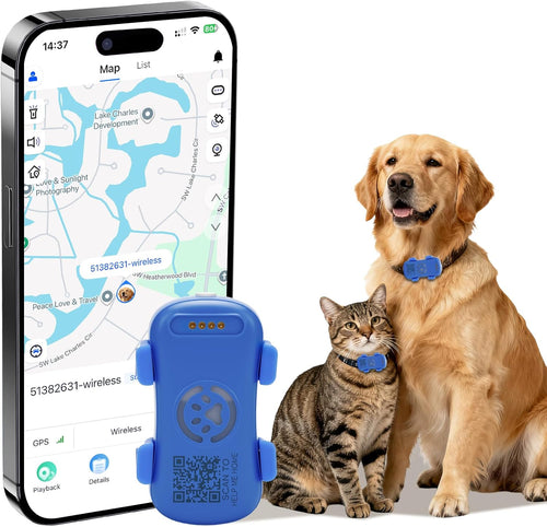Dog GPS tracker app map view with tracker attached to golden retriever and cat collars