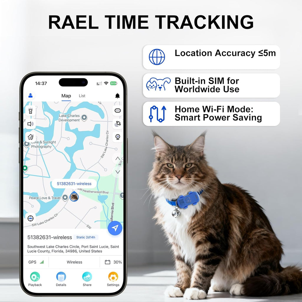 Cat wearing GPS tracker collar with real-time tracking app showing location accuracy