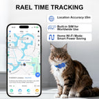 Cat wearing GPS tracker collar with real-time tracking app showing location accuracy