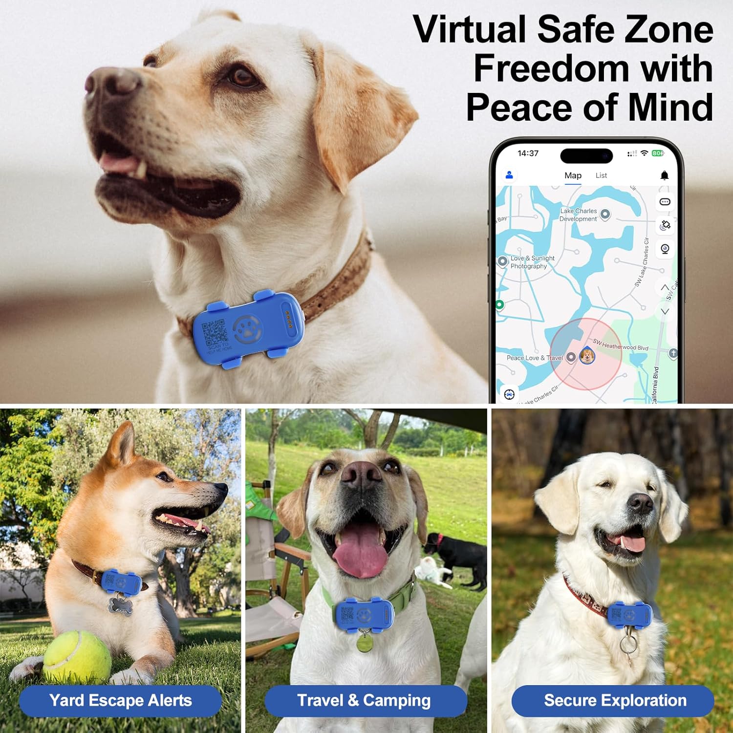 Dogs wearing GPS tracker collars with virtual safe zone geofence alerts in app